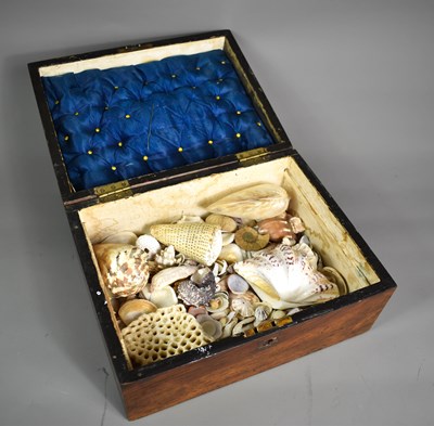 Lot 232 - A 19th century walnut box containing a large...