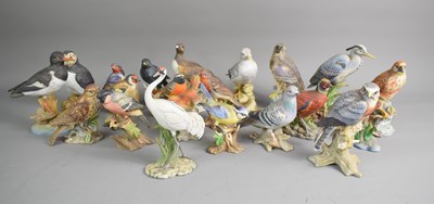 Lot 52 - A large quantity of bisque porcelain birds, to...
