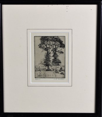 Lot 361 - E K Hallett (Early 20th century): Elms,...