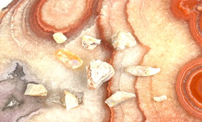 Lot 262 - A selection of uncut opals, 2.1g.