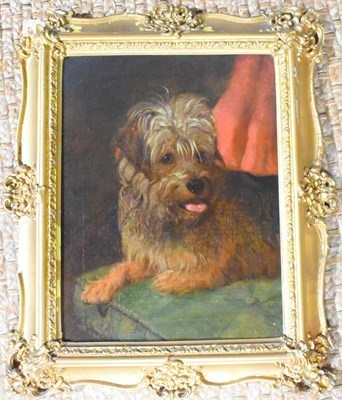Lot 101 - A 19th century study of a terrier dog, oil on...