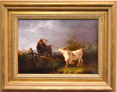Lot 6 - Henry Park (1816-1871): Two bulls in a field,...