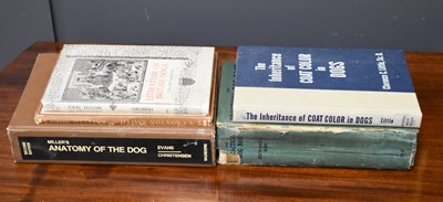 Lot 288 - The Practical Dog Book by Edward C Ash,...