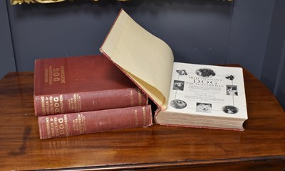 Lot 289 - Hutchinson's Popular & Illustrated Dog...