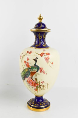 Lot 133 - A Royal Worcester vase and cover, painted with...
