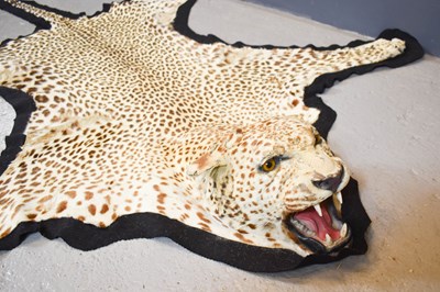 Lot 379 - A 1930s Taxidermy leopard (Panethera Pardus...