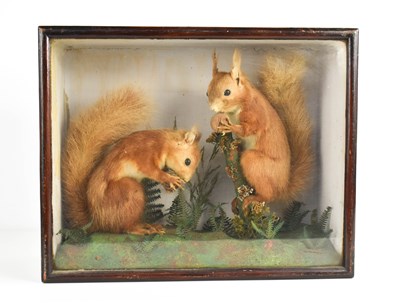 Lot 207 - A Victorian taxidermy display containing two...