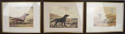 Lot 310 - A group of three gundog prints depicting...