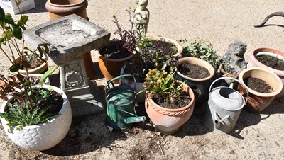 Lot 463 - A quantity of garden ornaments, plant pots,...