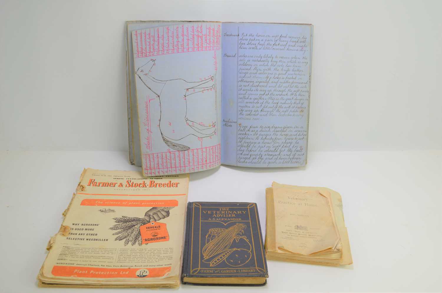 Lot 281 A group of vintage veterinary books to
