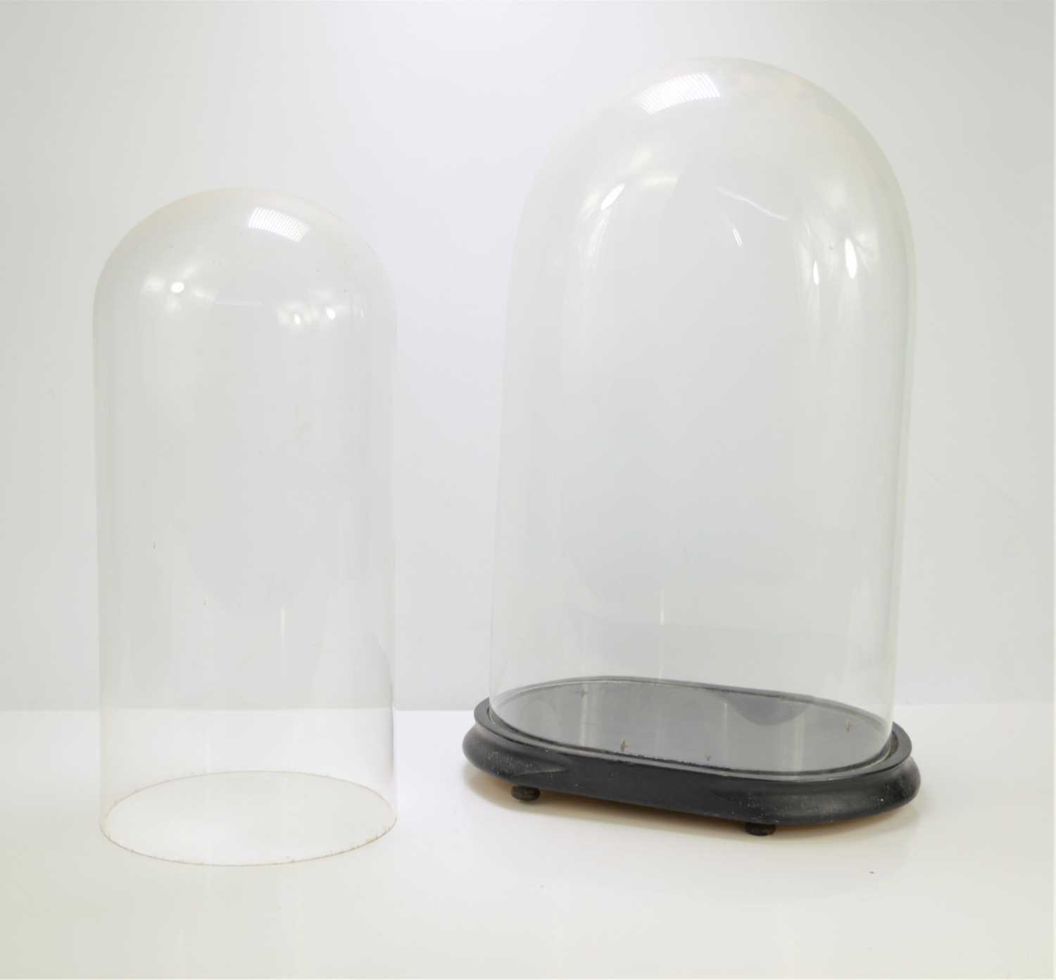 Lot 190 - Two Victorian glass domes, one circular the...