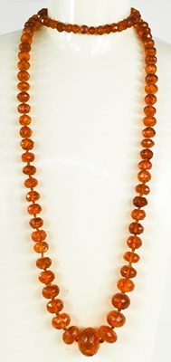 Lot 46 - A Victorian amber necklace with 9ct gold clasp,...