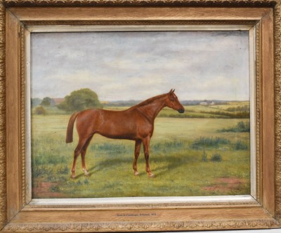 Lot 511 - B. Hayland (19th century): oil on canvas,...