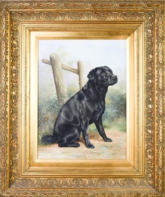 Lot 437a - C. Whitfield: a canine portrait of a black...